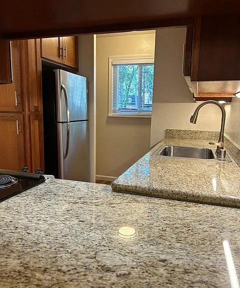 982 Almanor Ct #982 — Photo 4
