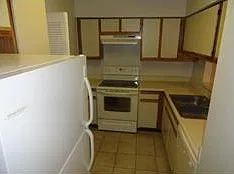 1243 — Photo 3