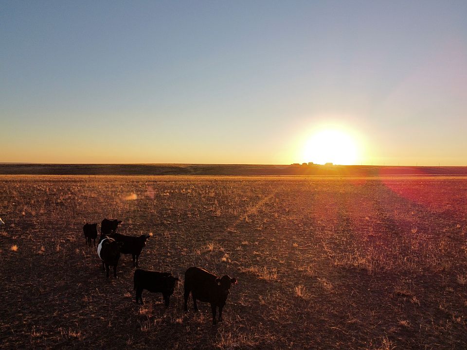 1 S County Rd 2166, Deer Trail, CO 80105 Zillow