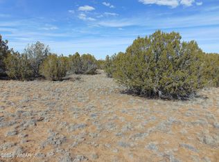 51&49 County Road 8243, Vernon, AZ 85940