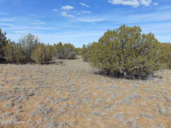 51&49 County Road 8243, Vernon, AZ 85940