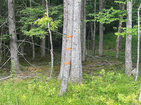 4th image of TBD Boulder Brook lot B10 Road