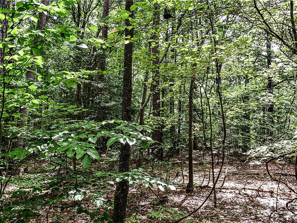 2nd image of 0 Hickory Fork Rd Lot 1E