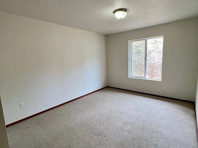 293 Sowell Dr — Photo 13