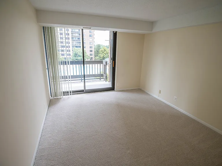 5505 Seminary Rd #316N — Photo 34