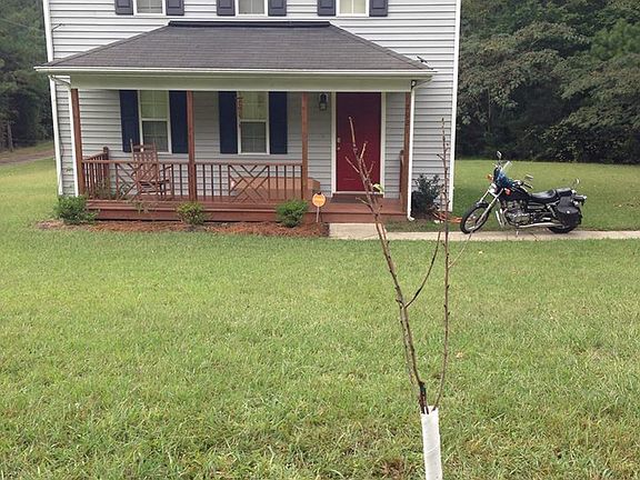 2nd image of 2921 Kingston Ave