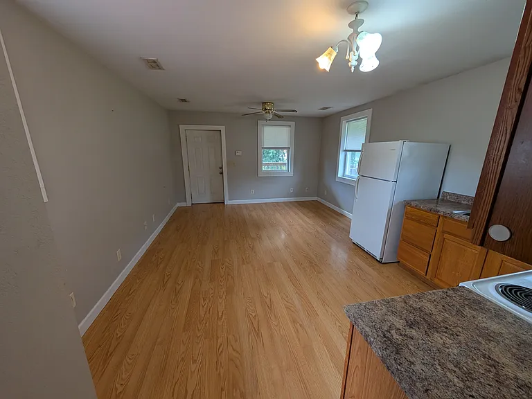 207 US Highway 321 #SUITE2APARTMENT — Photo 7