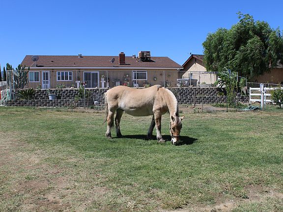 Reggie loves this life!