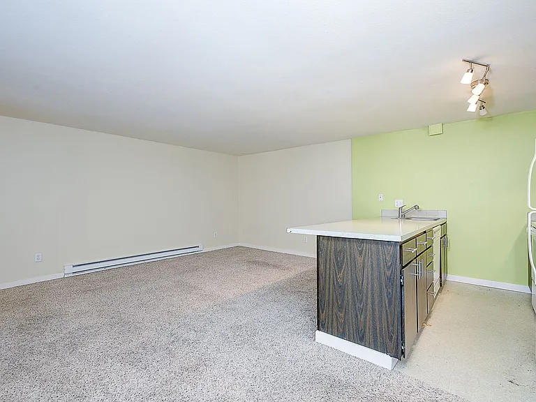 49 W Dravus St — Photo 5