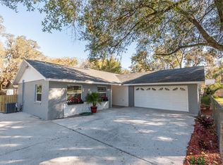 3822 Robinson Rd, Valrico, FL 33594