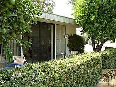 Rear Patio