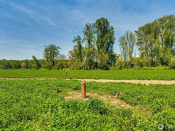 2nd image of 0 Whalen