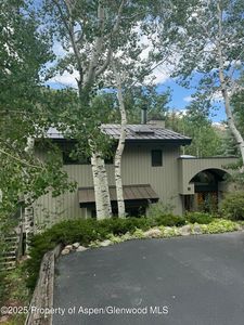 302 Roaring Fork Dr, Aspen, CO, 81611