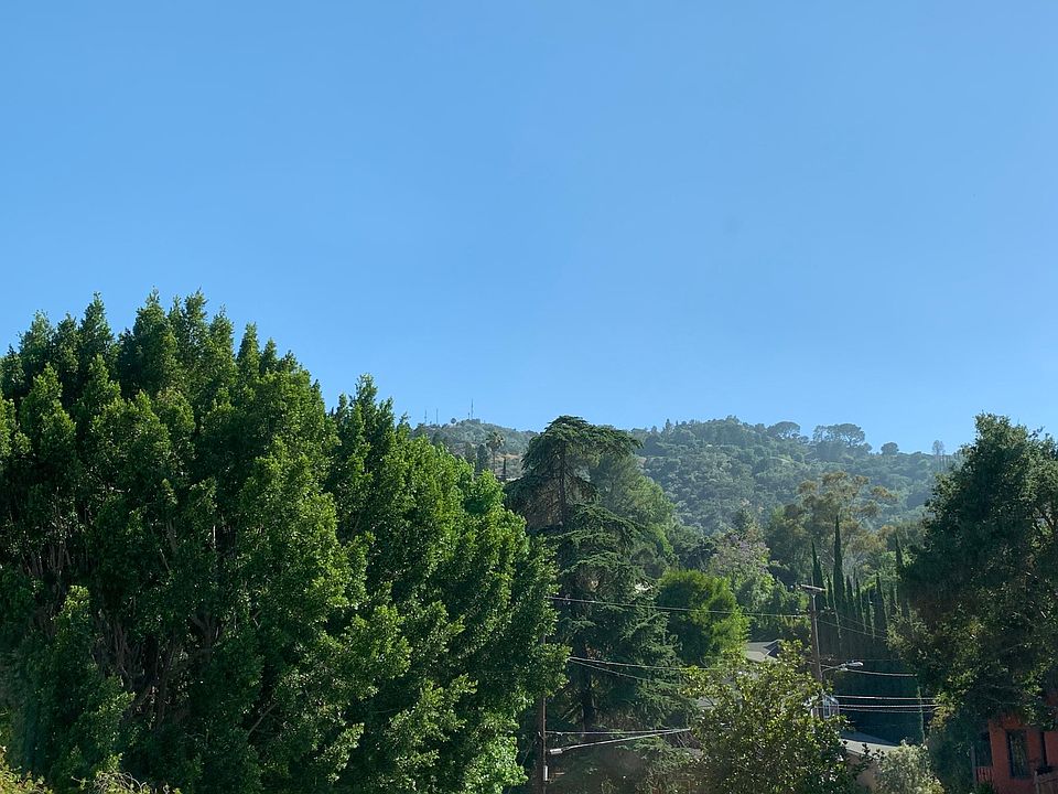 View from Unit