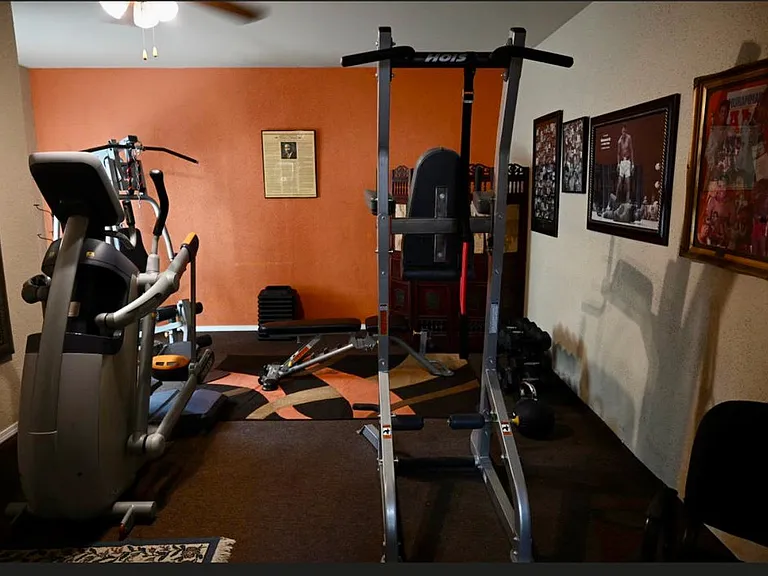 Mancave/Workout Room