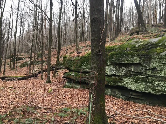 535 Delaware Lake Rd — Photo 11