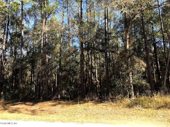 8683 N Spikes Way, Citrus Springs, FL 34434