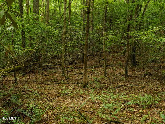 5th image of LOT 9 Holly Ridge Ln Lot 9