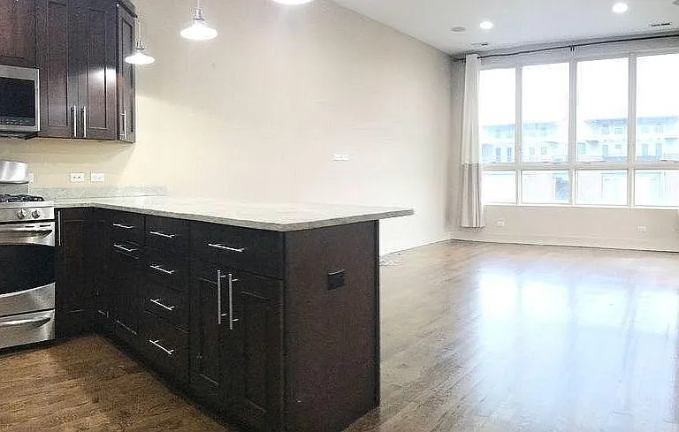 1914 N Damen Ave #4 — Photo 3