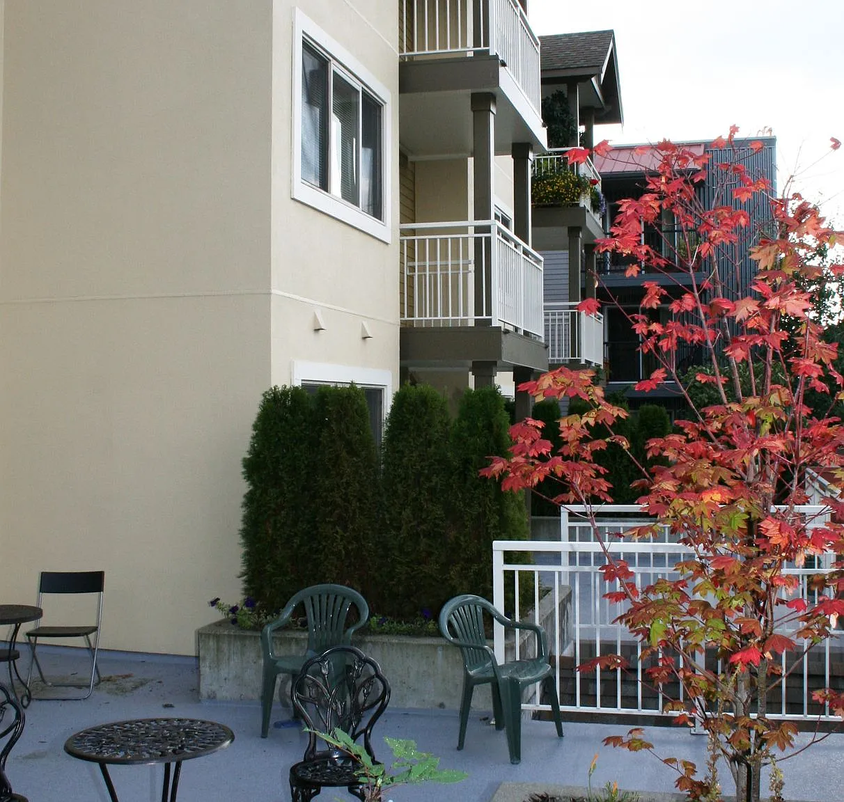 The Max Apartments — Photo 4