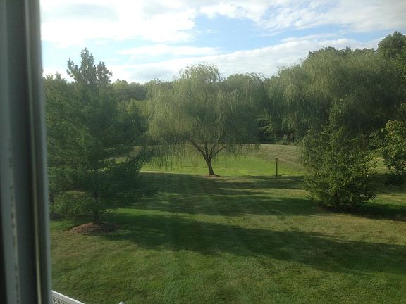 backyard2