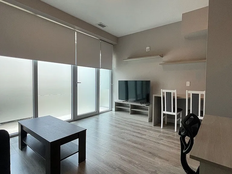 250 Albert St #102 — Photo 12