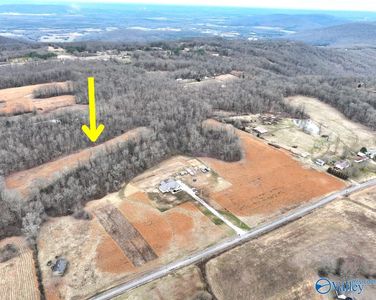 Of 130 Pace Dr, Woodville, AL, 35776
