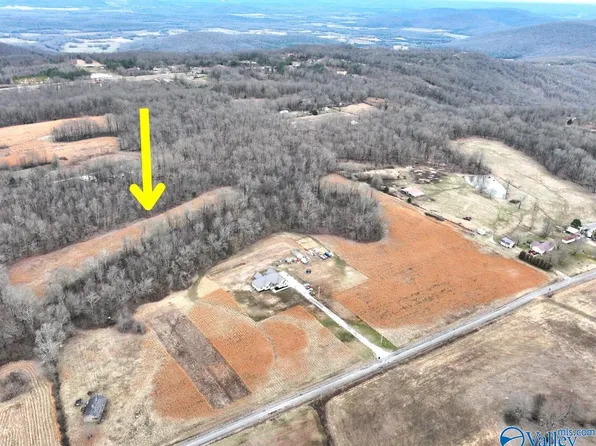 Of 130 Pace Dr, Woodville, AL 35776