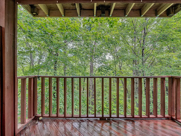 3273 Forest Ridge Rd — Photo 12