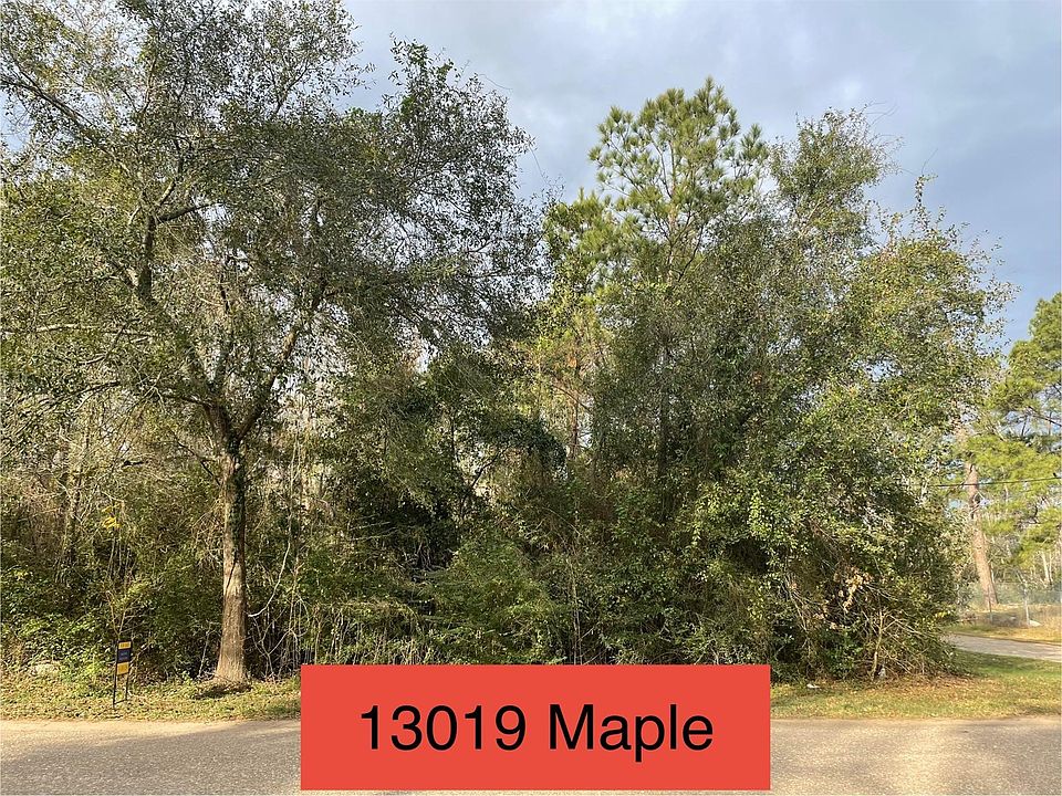 2nd image of 13019 Maple St