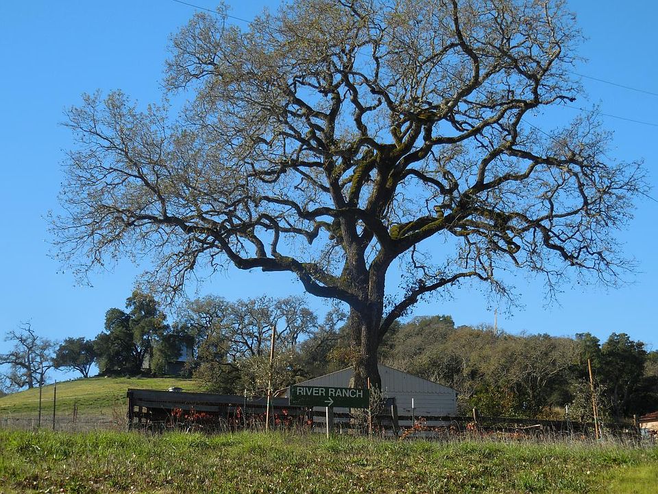 Entry road to River Ranch