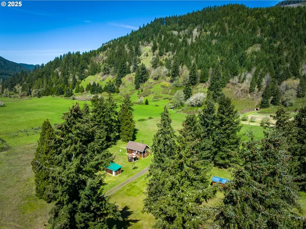 38305 Lower Brice Creek Rd, Dorena, OR 97434