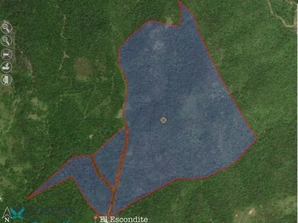 Km 3.1 Sr #7722, Cayey, PR 00736