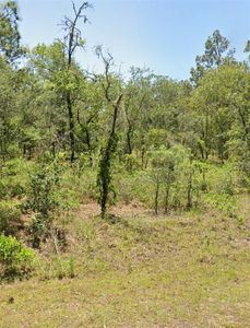 0 NW Mallard Ave #15, Dunnellon, FL, 34431