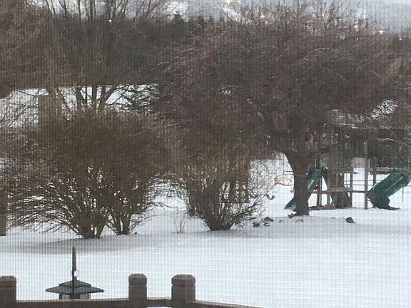 Granite Peak View; Kitchen