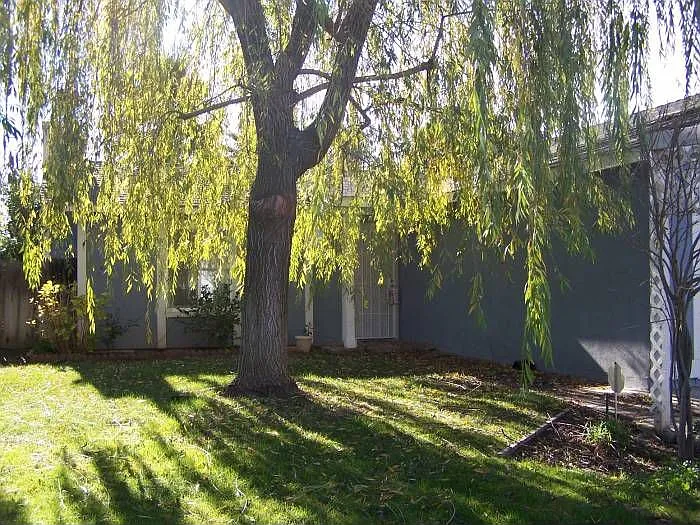 3108 Kounias Dr photo 1
