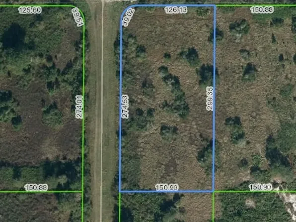 2239 W Tarkenton Rd, Avon Park, FL 33825
