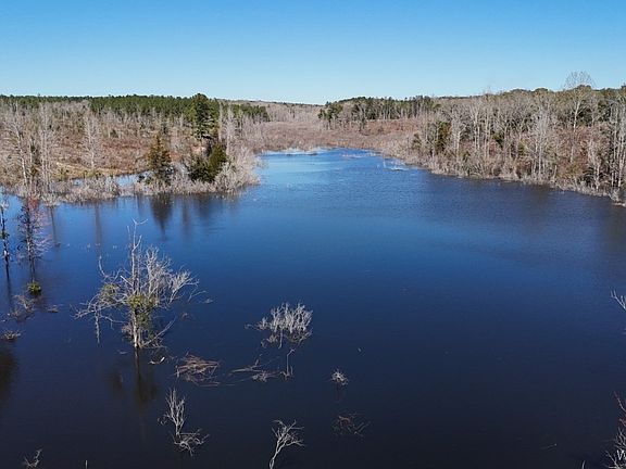 3rd image of Ammons Pond Rd