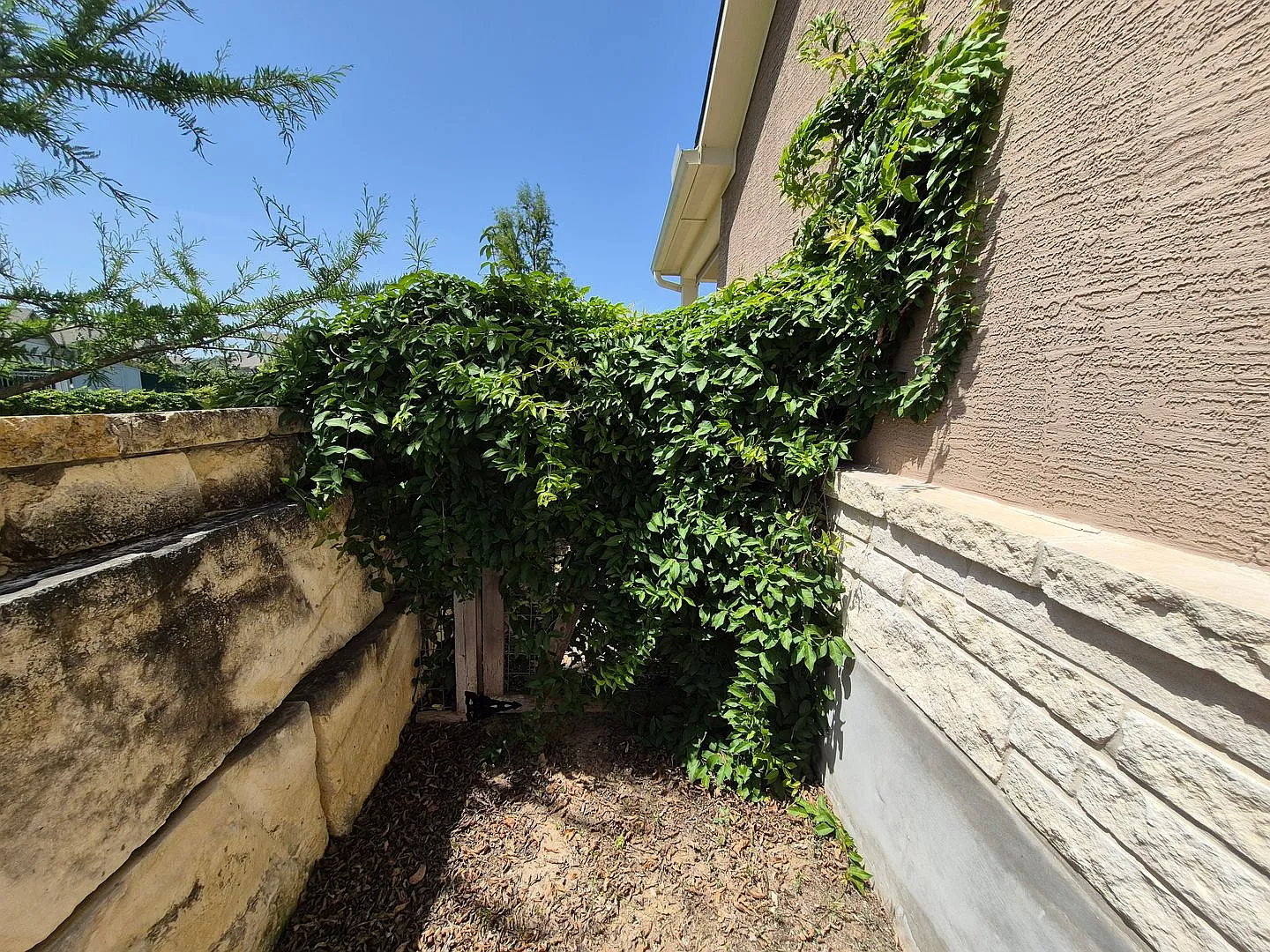 11612 Hollering Pass, Schertz, TX. 78154 — Photo 4