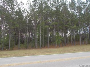 199 S Kensington Ave, Lecanto, FL 34461