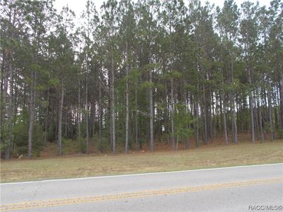 199 S Kensington Ave, Lecanto, FL, 34461