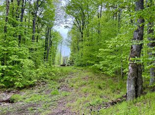 532 State Route 8 #2, Piseco, NY 12139
