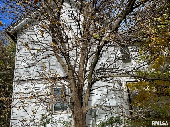 9290 N 400th Ave, Woodhull, IL 61490