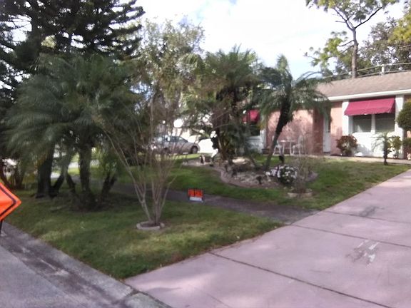 2nd image of 2524 Elderberry Dr