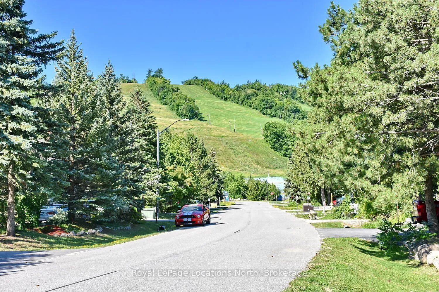 4 bed, $22,500 — Photo 4