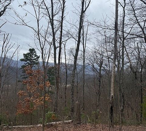 3rd image of 0 Ethan Rdg