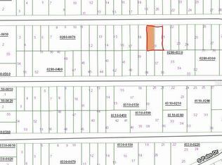 0 Cherry St #19-20, Interlachen, FL 32148