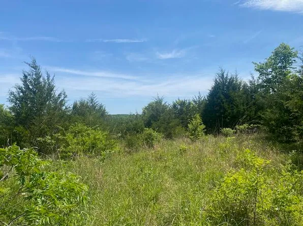 001 Flint Hollow Road, Seymour, MO 65746