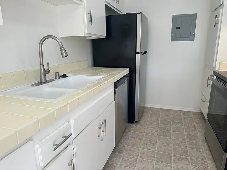 Kitchen Sink and Stainless Steel Dishwasher #305