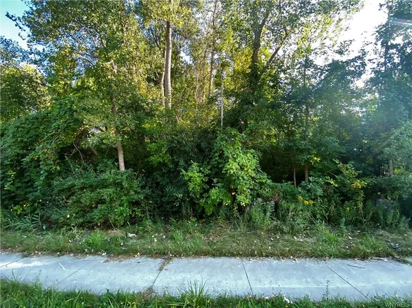 3895 E Robinson Rd, Amherst, NY 14228